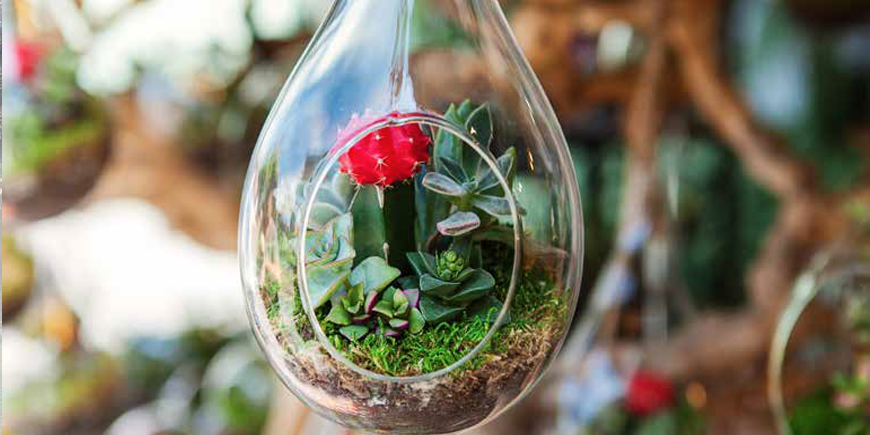 Piante e fiori in contenitore di vetro giardino in miniatura