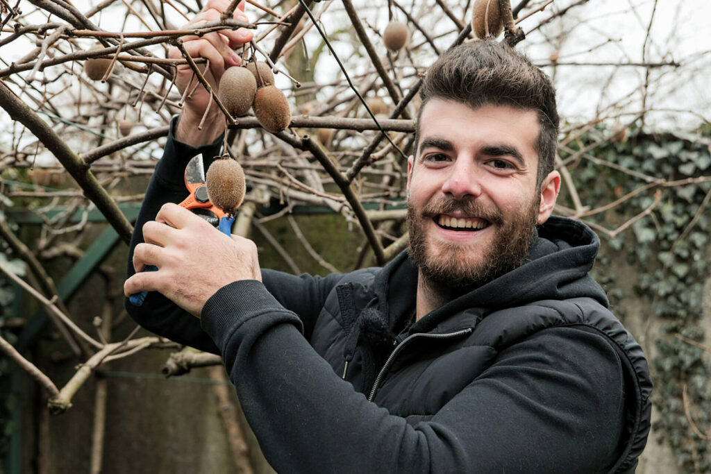 La potatura degli alberi da frutto: perché è importante e quando può non essere necessaria